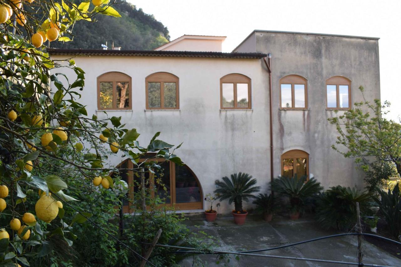 Maria Home B&B Sorrento Exterior foto
